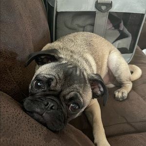 Meet your Posher, Kaitlyn